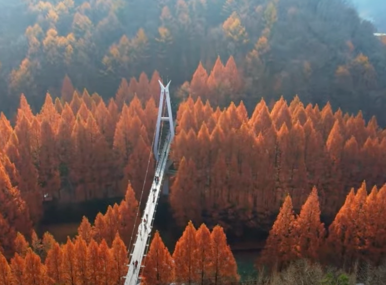 장태산-자연휴양림