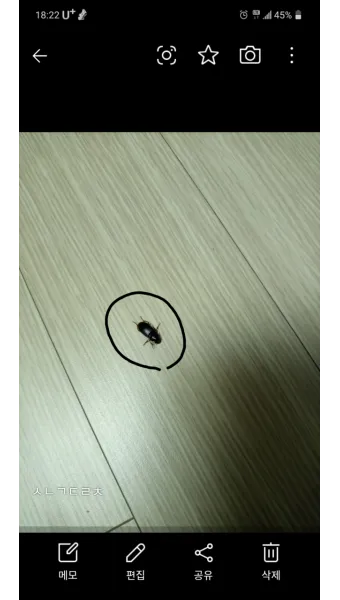 베란다 벌레 완벽 차단 방법과 여름철 실내 해충 예방 꿀팁_7