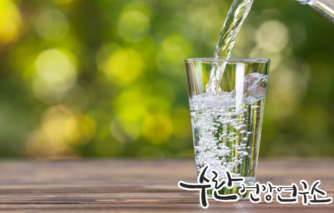 LGG 유산균 효능 부작용