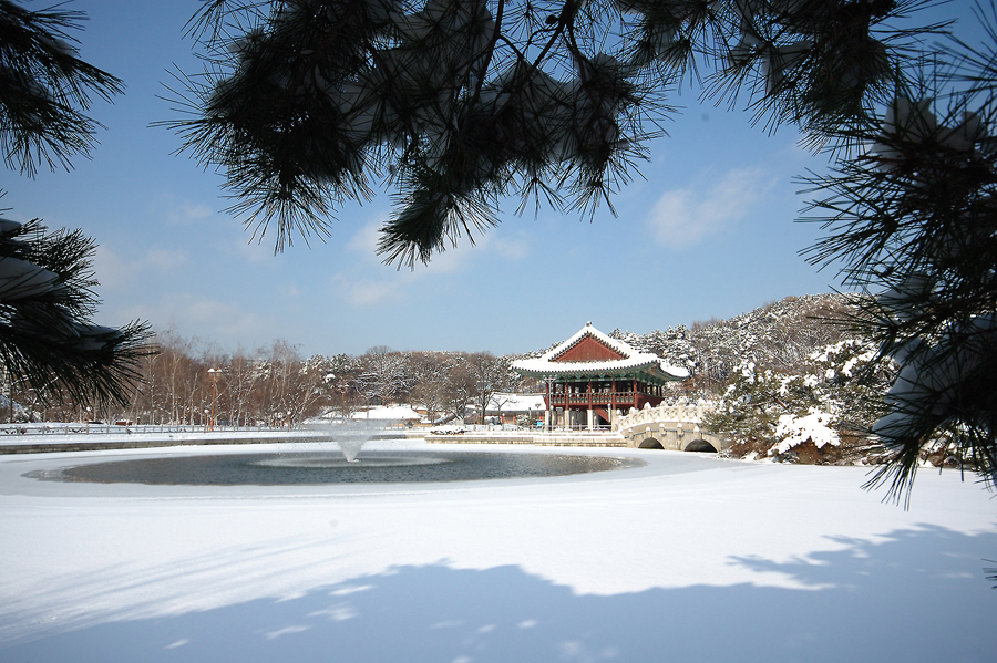 성남 반려견 겨울 산책 명소 BEST 5, 강아지와 걷기 좋은 실제 코스