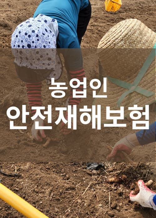 농업인안전재해보험