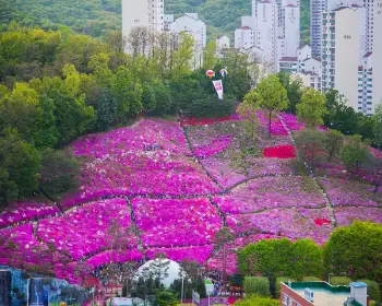 군포 철쭉축제_18