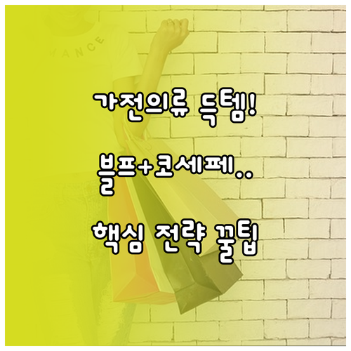 가전 의류 득템 블랙프라이데이 코세페..