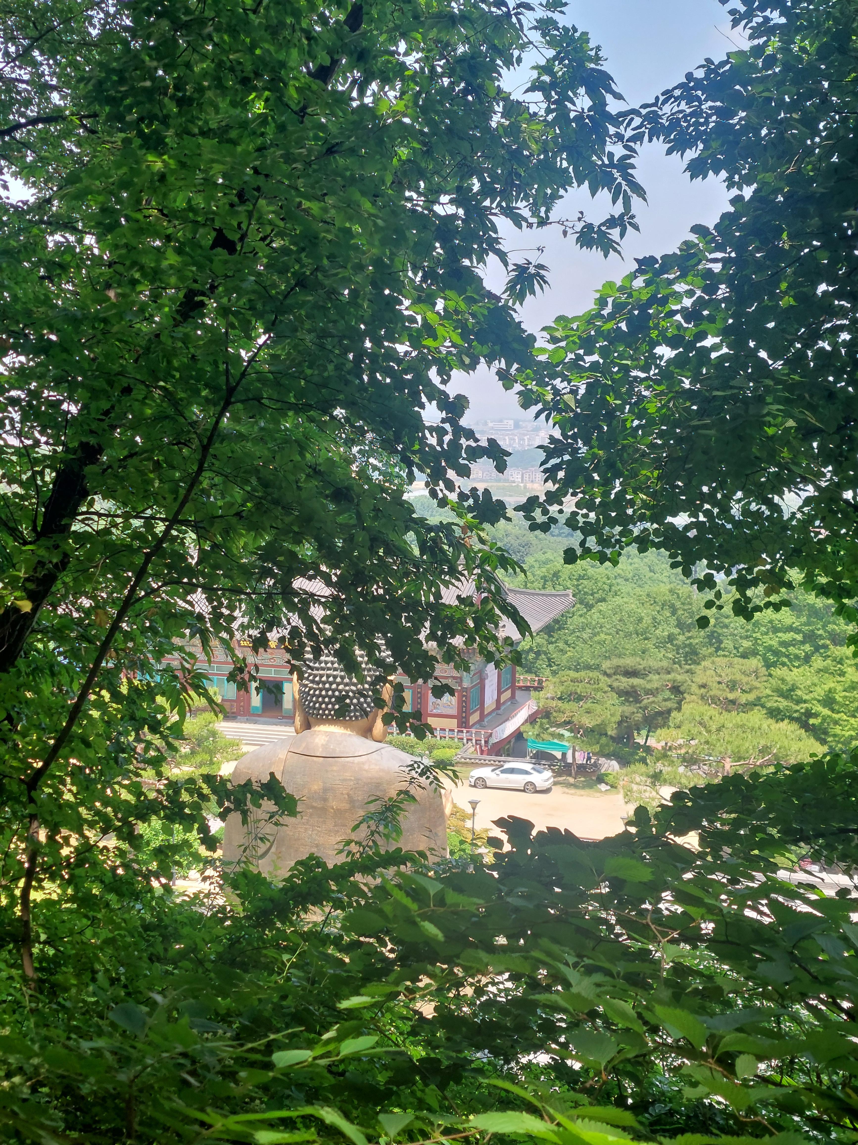 심학산