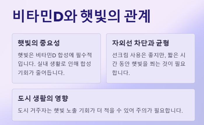 비타민D와 햇빛