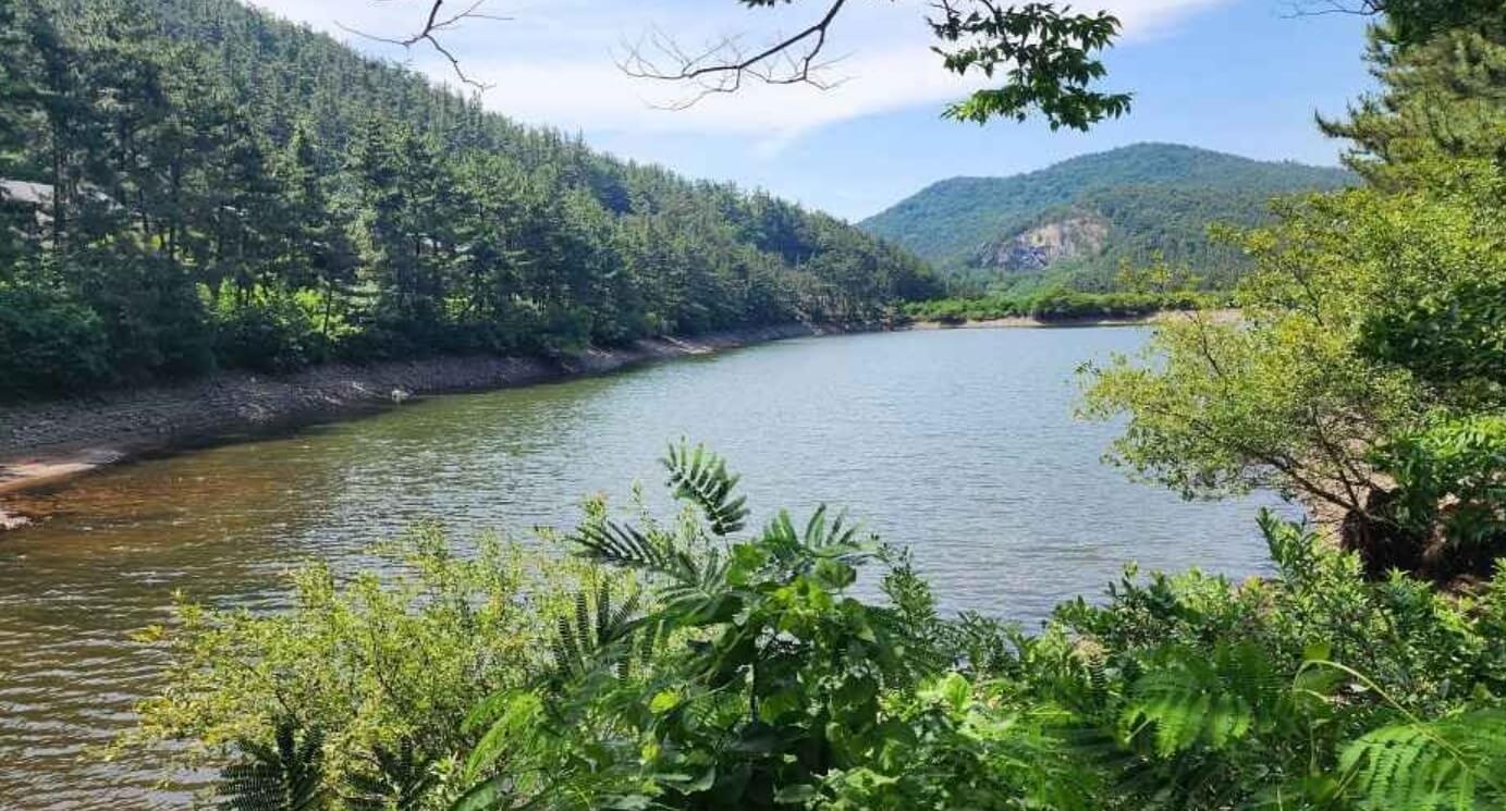 서천 가볼만한곳 베스트10 희리산해송자연휴양림