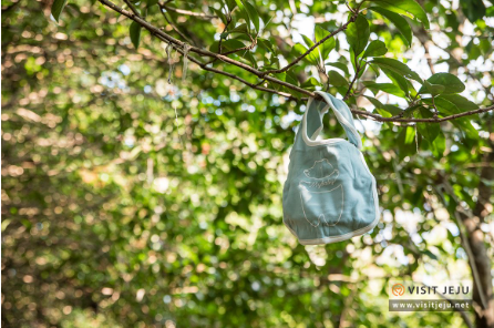 제주도 가볼만한곳 10곳