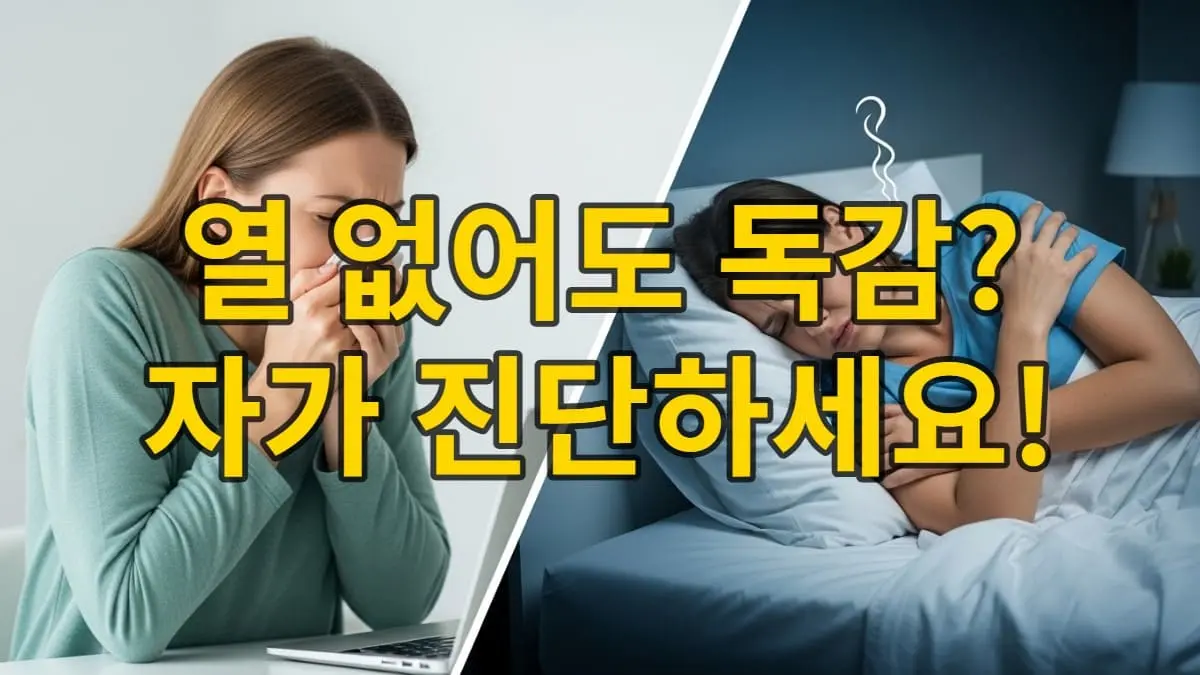 열이 없는 독감과 일반 감기의 증상을 시각적으로 비교하는 이미지로, 열 없이도 독감이 의심될 수 있는 상황을 강조.