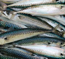 수족냉증에 좋은 음식