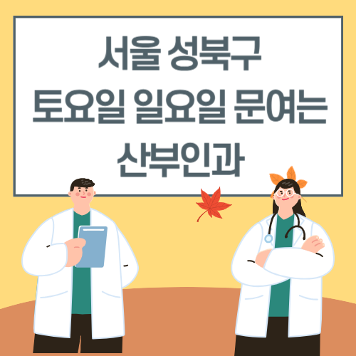 서울 성북구 토요일 일요일 산부인과 진료 병원 리스트