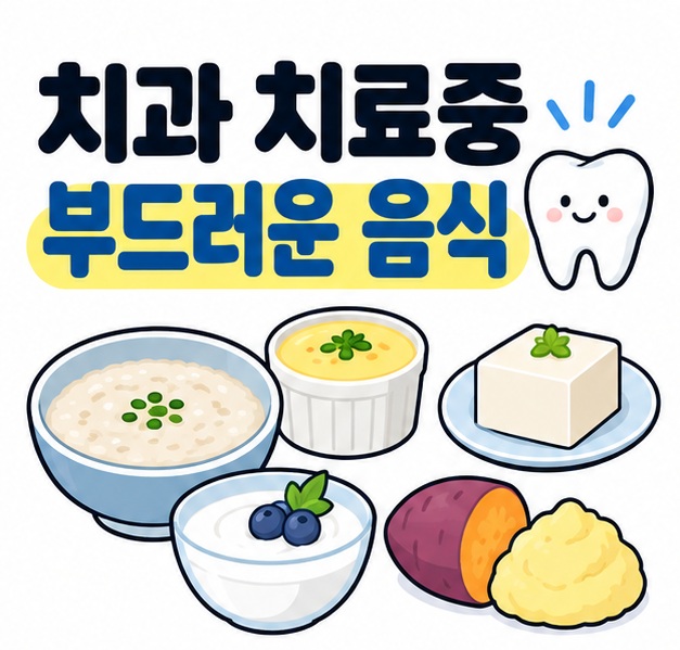 치과 치료중 부드러운 음식 문구와 죽, 계란찜, 두부, 요거트 그릇을 보여주는 대표 카드
