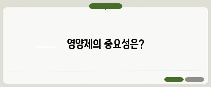 필수 영양제 건강을 위한 기본 구성