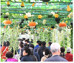 어버이날 선물 추천 best 5 사실 1위 하나면 올해는 준비 끝!