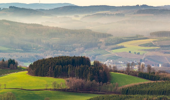서사 뜻 쉽게 정리 3