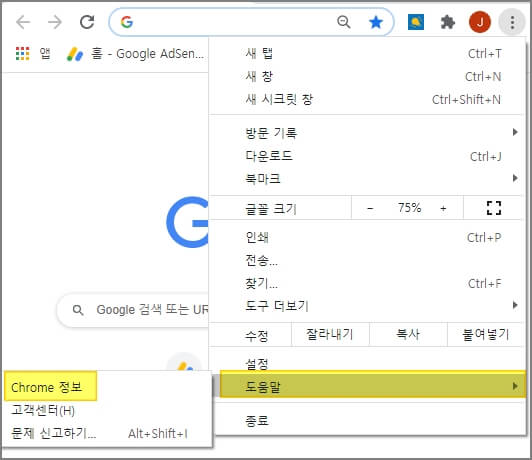크롬 업데이트 보기