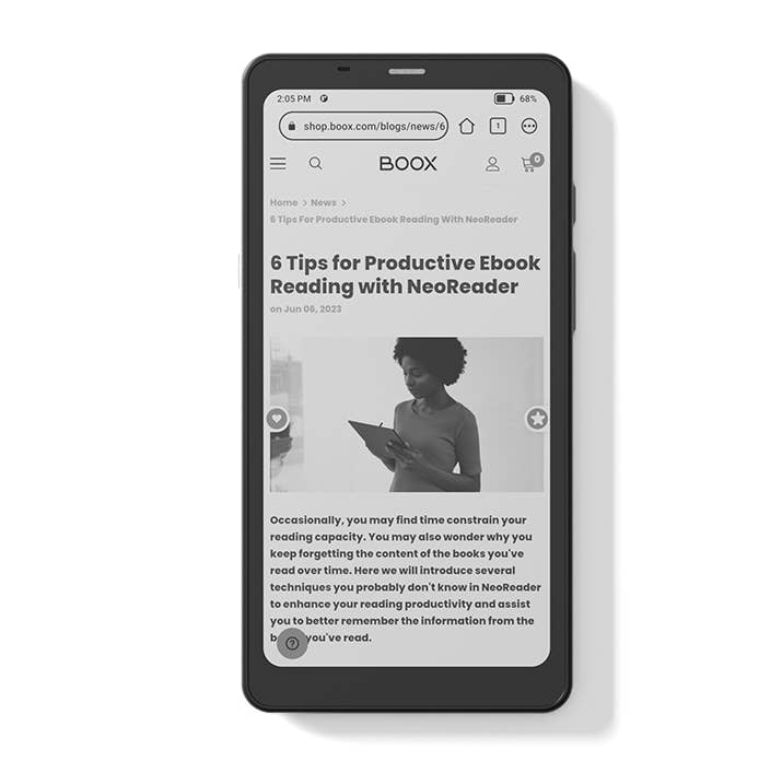 북스 팔마(BOOX Palma)