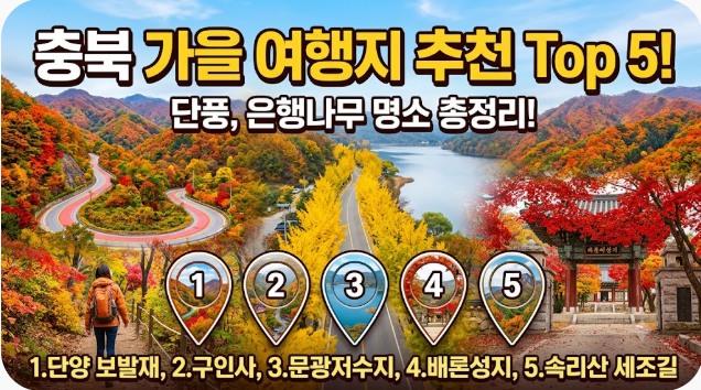 충북 가을 여행지 추천