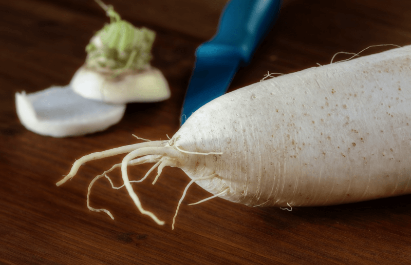 환절기 만성 기관지염에 도움 되는 음식