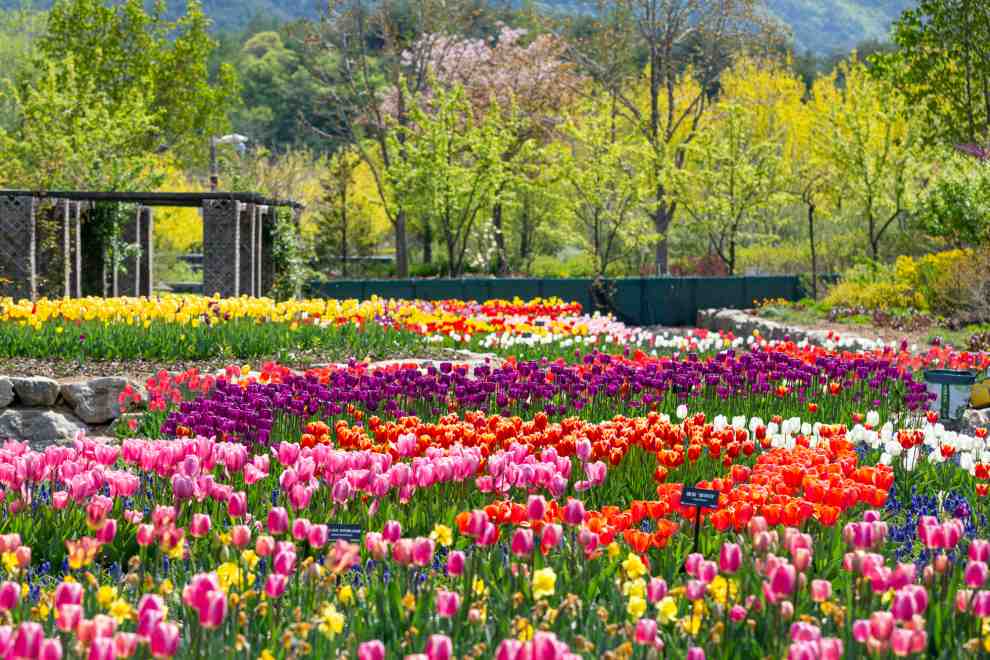 백두대간 봉자페스티벌 