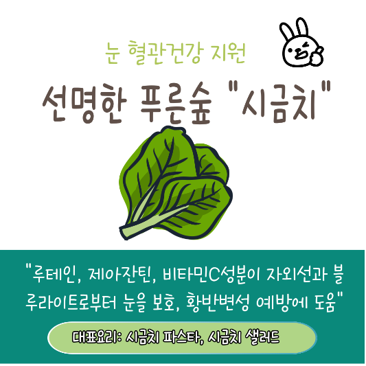 눈 건강에 좋은 시금치