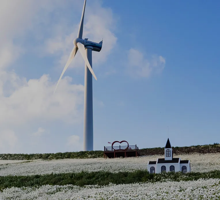 육백마지기 풍경