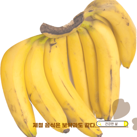 10월 제철 과일