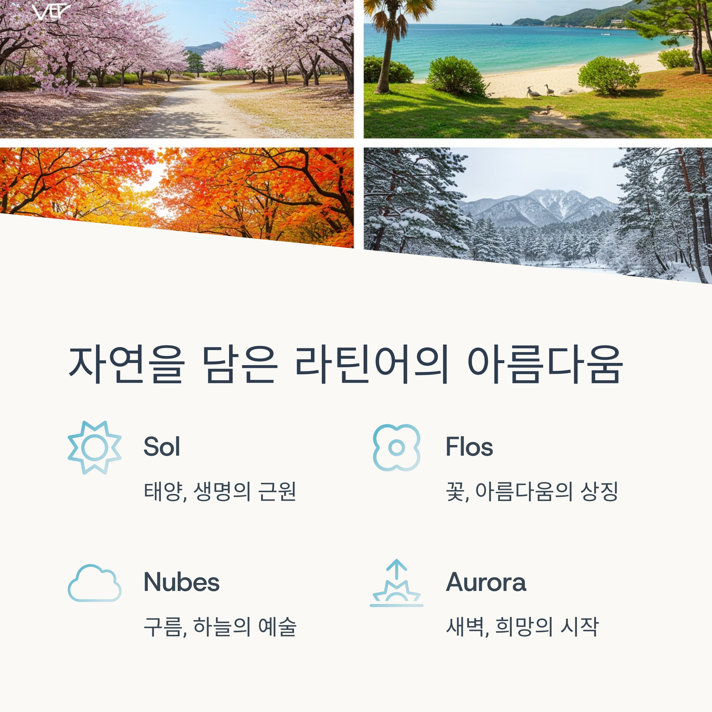 자연과 계절을 닮은 단어들