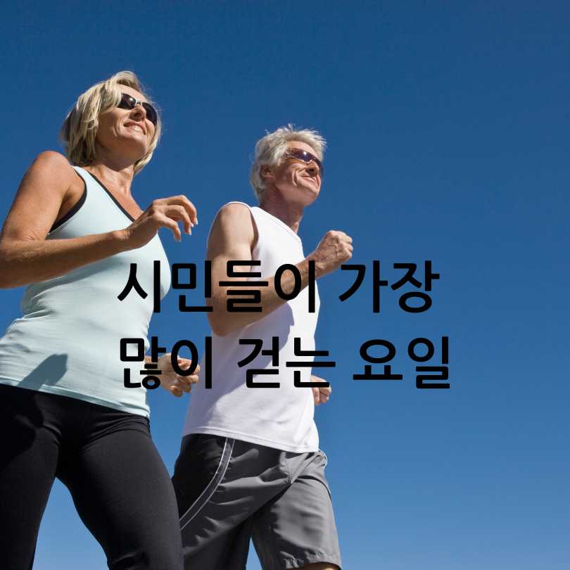 손목닥터 9988 -걷기로 돈벌기