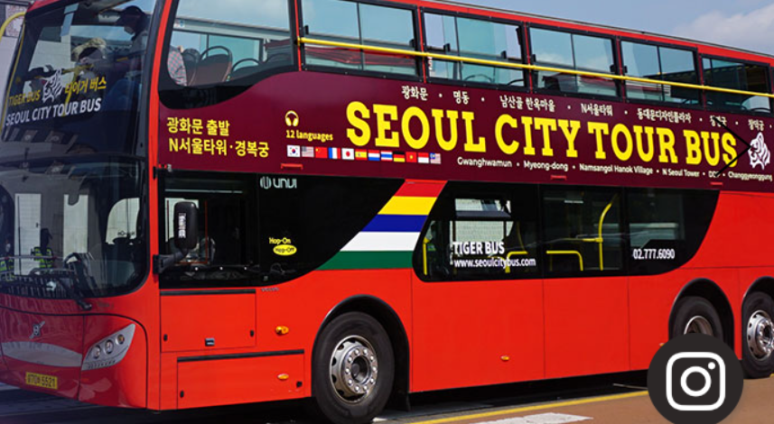 서울 벚꽃 데이트 추천! 서울시티투어버스로 편하게 즐기는 서울 벚꽃 관련사진