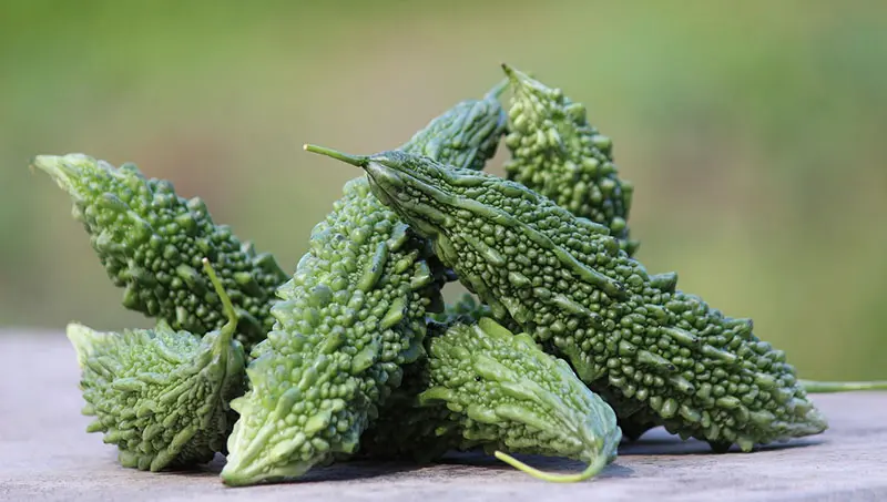 나무 탁자에 싱싱한 생여주 5개가 놓여 있는 사진