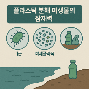 플라스틱 분해 미생물의 잠재력 관련 사진
