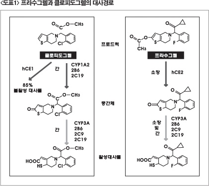 항혈소판제-프라수그렐
