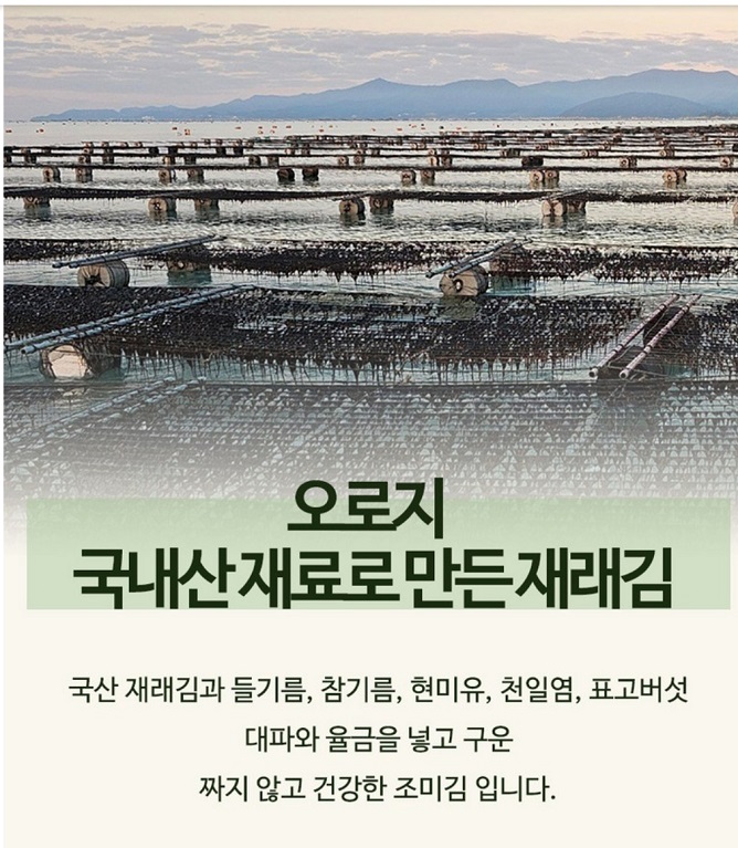 한국기행-진도사랑호림이네