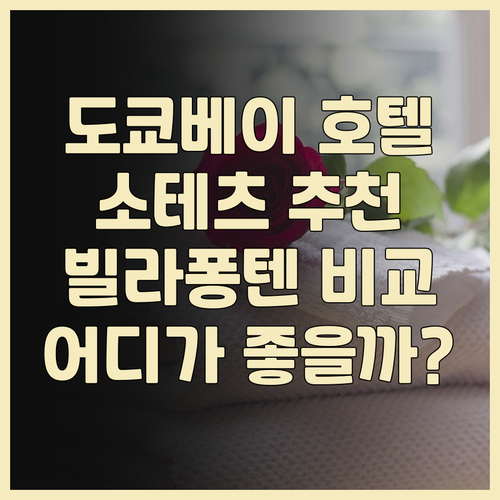 도쿄 베이 지역 호텔 추천 소테츠 그