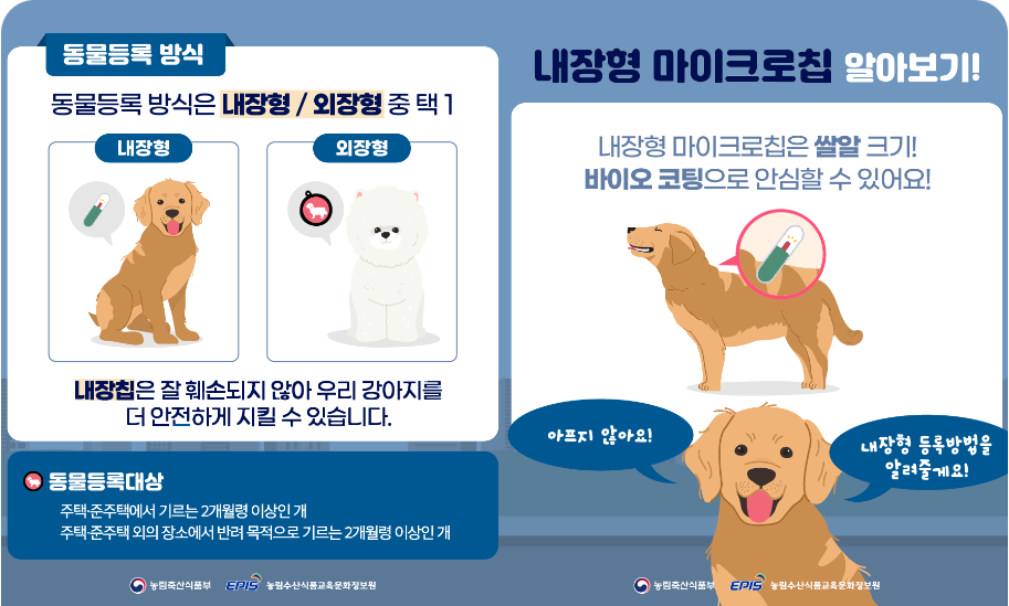 반려동물 등록 비용과 방법 총정리 4