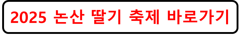 2025논산딸기축제 바로가기