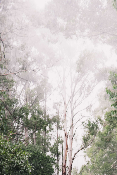 자연재난 폭우 피해 재난지원금 신청