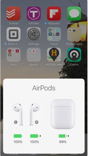 에어팟 짝퉁 ; 쉽게 구별하는 방법(패키지, 일련번호, 액세서리, 펌웨어, 환불)