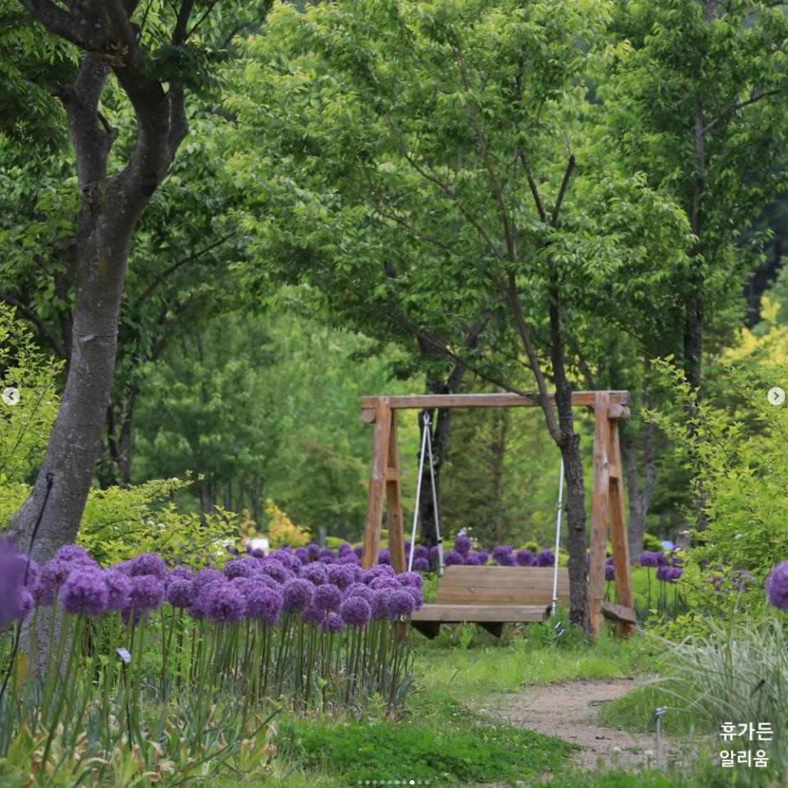 백두대간 봉자페스티벌