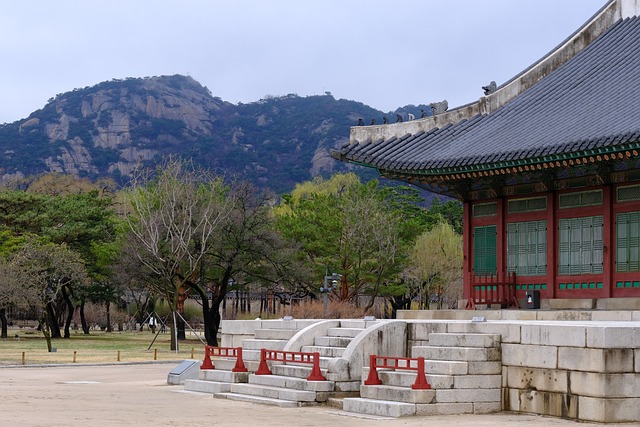 조선 후기의 정치적 변화, 외세와의 관계 분석하기