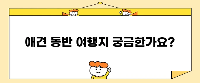 강원도 평창에 위치한 더화이트 호텔, 휘닉스파크 근처 애견과 함께할 수 있는 숙소를 추천합니다.