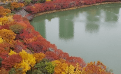 서울근교 단풍 명소 추천