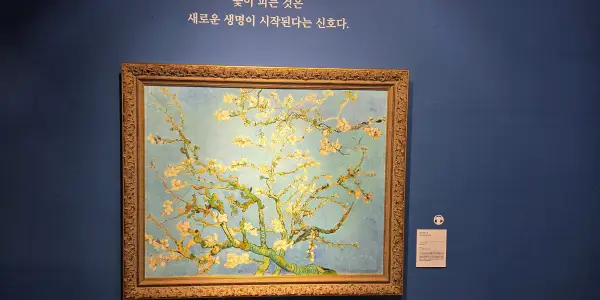 반고흐 레프리카전-섹션4-꽃핀 아몬드 나무