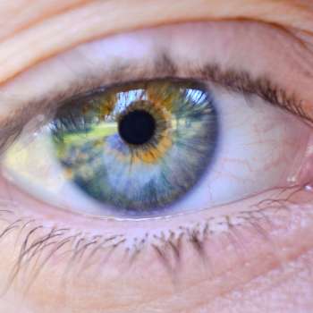 망막색소변성증