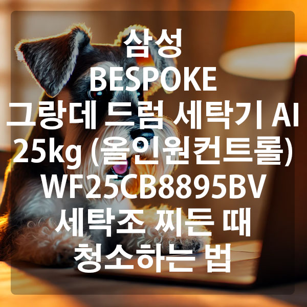 삼성 BESPOKE 그랑데 드럼 세탁기 AI 25kg (올인원컨트롤) WF25CB8895BV 세탁조 찌든 때 청소하는 법