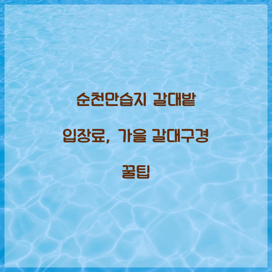 순천만습지 갈대밭 입장료