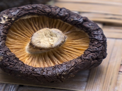 표고버섯 효능 사진36