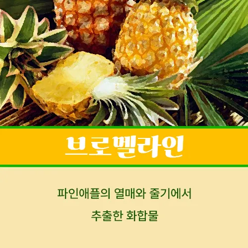 브로멜라인 추천