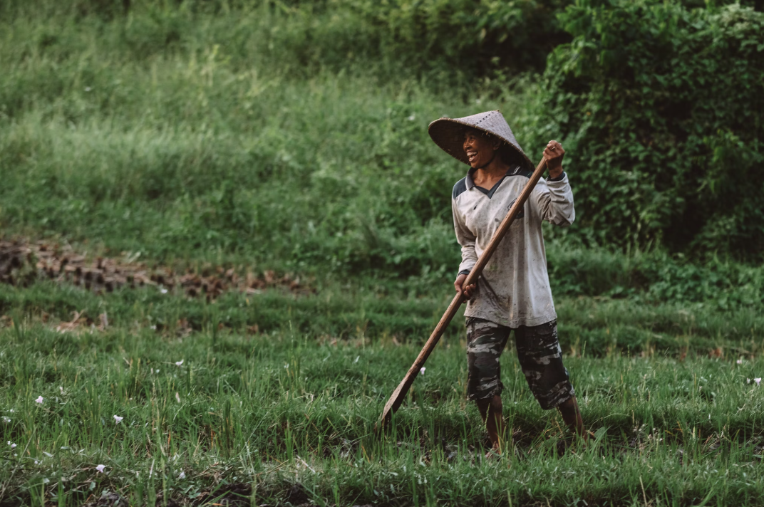 νμ§μΈ μ²λΌ μ΄μ보기 κ΄λ ¨ μ΄λ―Έμ§ (λ°λ¦¬, λ―Έμλ§ λ±)