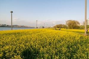 서울 5월 축제 일정